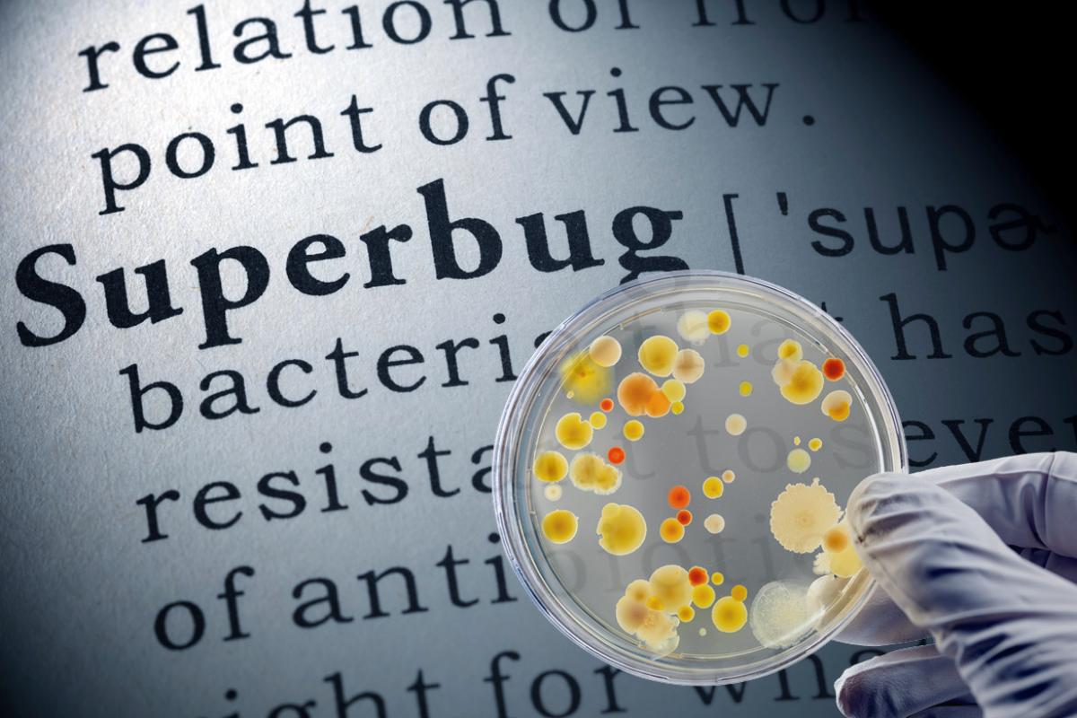 Dish being held up against superbug description