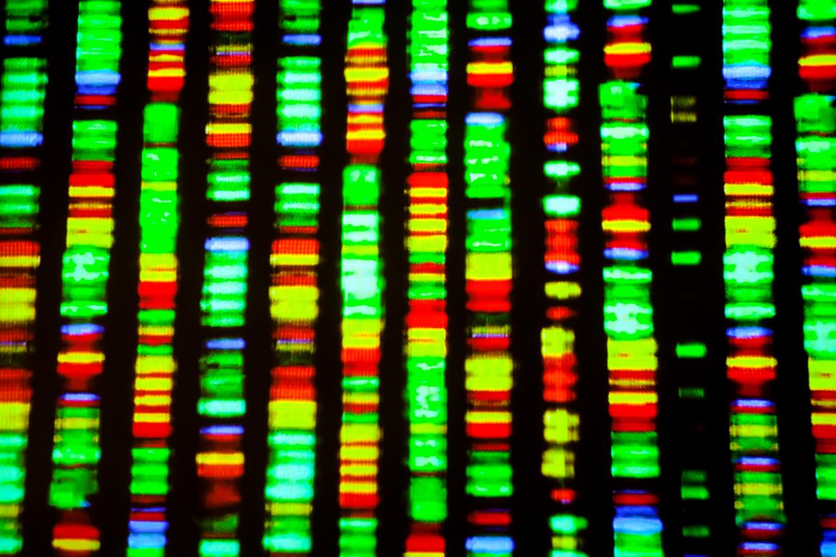 Computer screen closeup