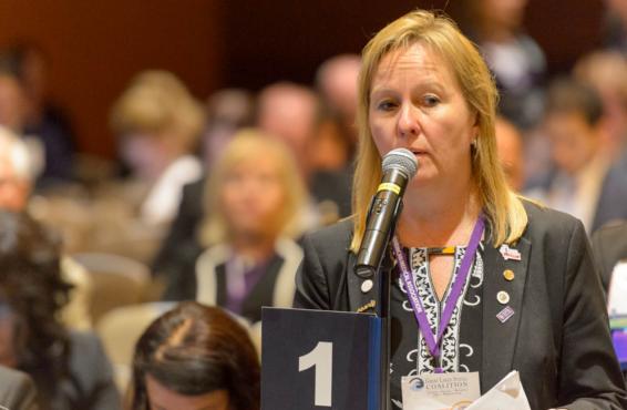 Delegates at the AMA Annual Meeting