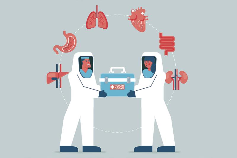 Two figures surrounded by organs